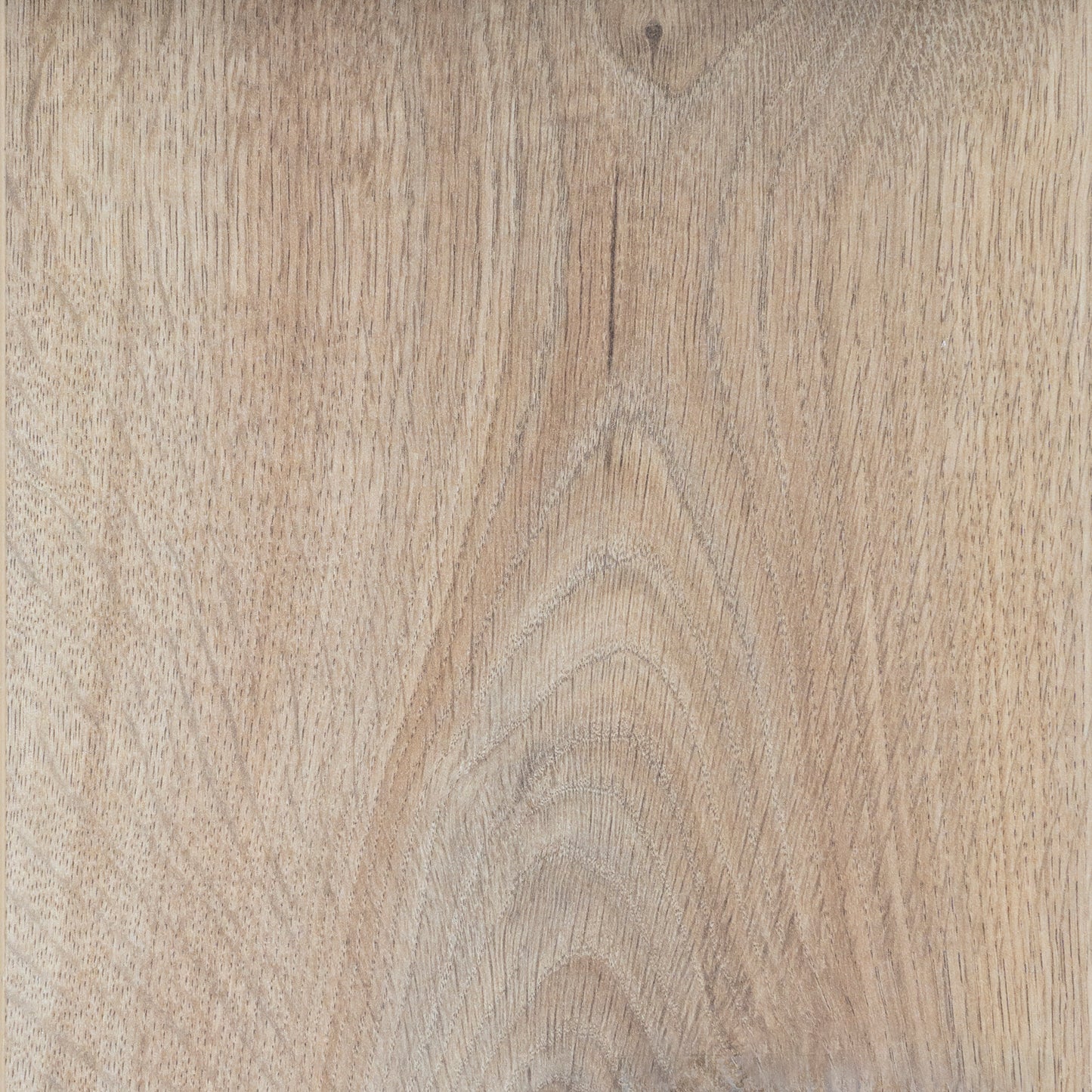 Victoria Oak | 1519