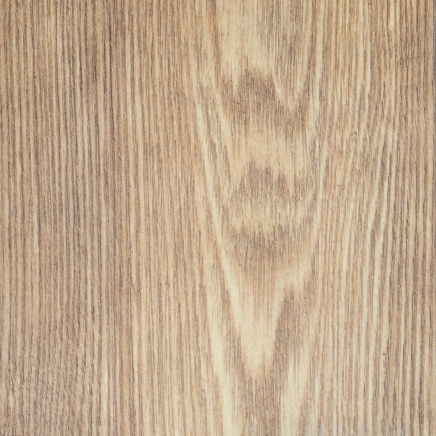 Tawny Chestnut | 5537
