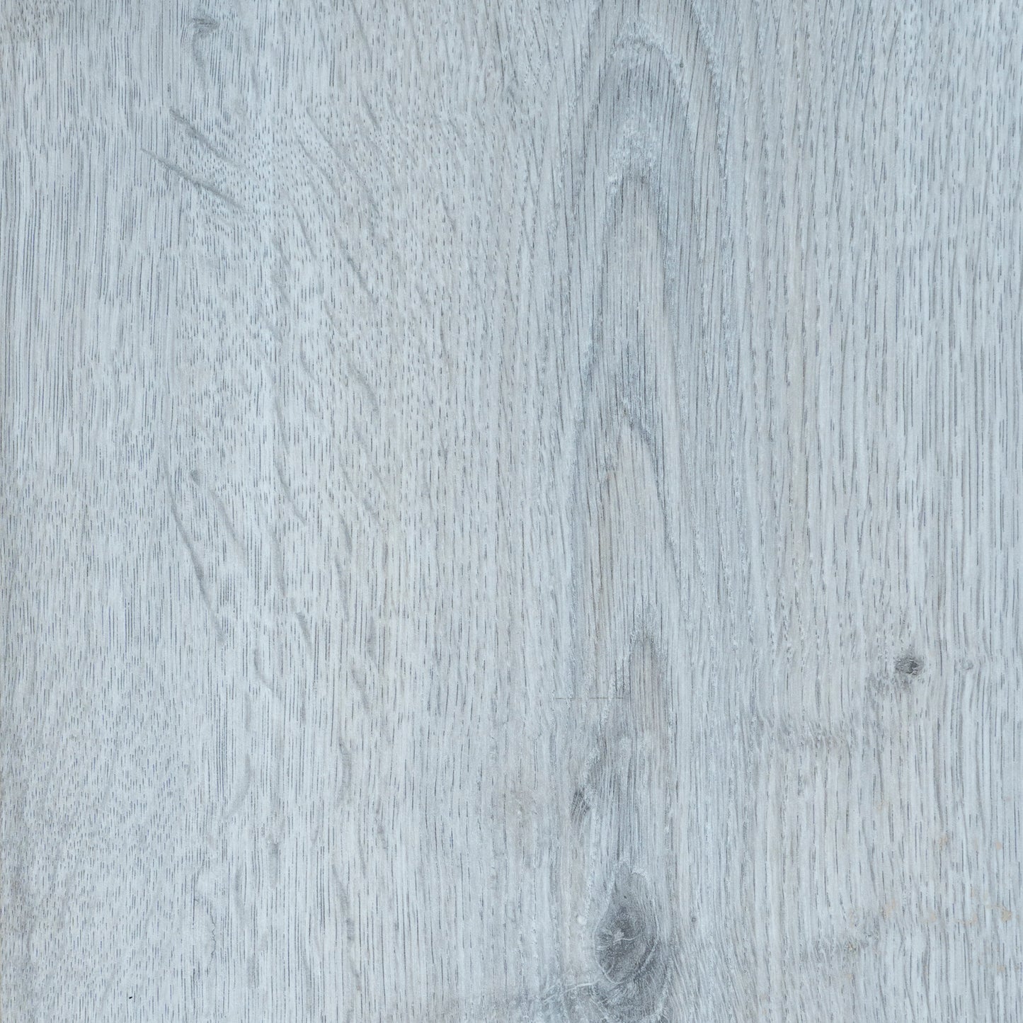 Hardy Oak | 5954