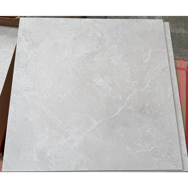 600 x 600 Tile NPT Light Beige Matt P4