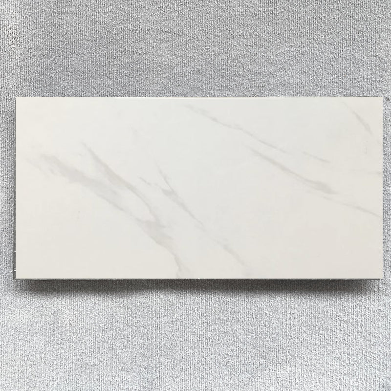 300×600 Wall Tiles – CJ36002