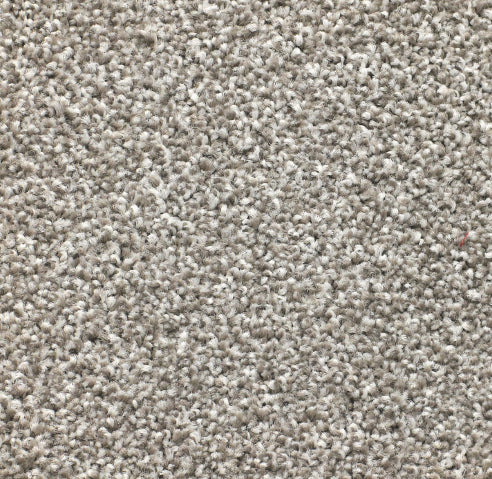 Classiq Valenciana Oyster - 7 kg