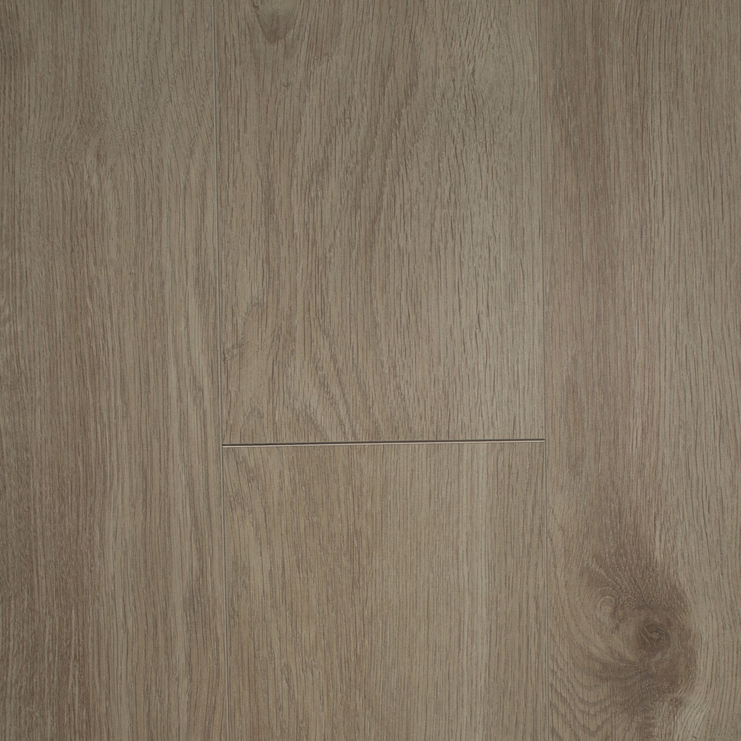 Eurus Oak | 406