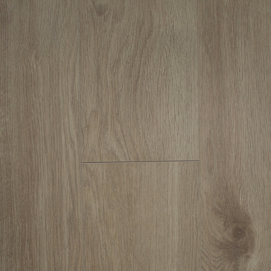 Eurus Oak | 406