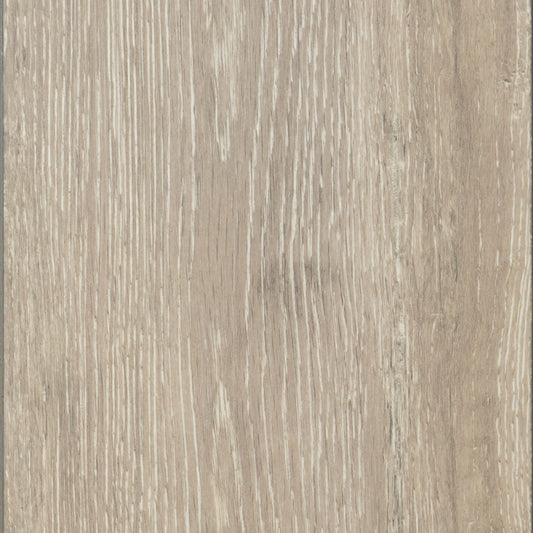 Boulder Oak | 5542