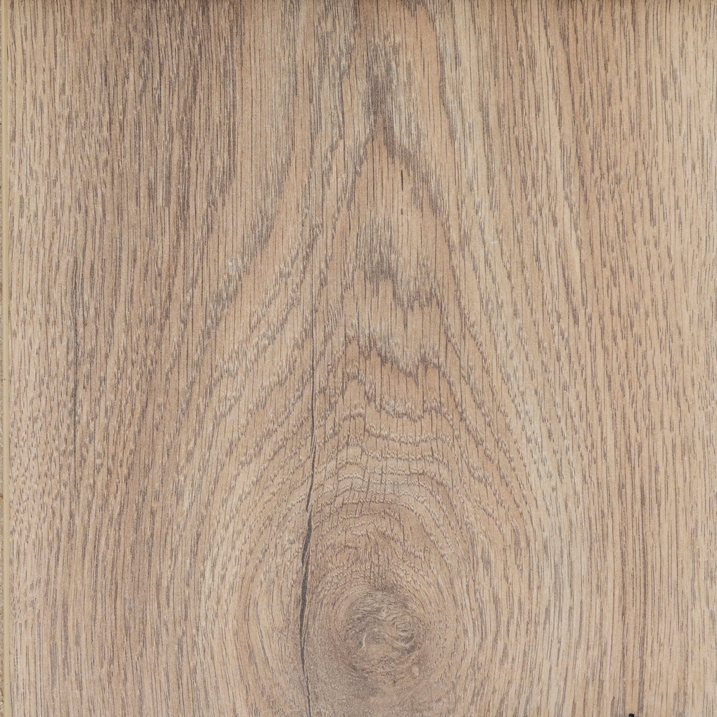 Historic Oak | 5947