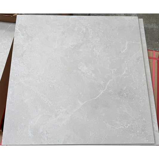 600 x 600 Tile NPT Light Beige Matt P4