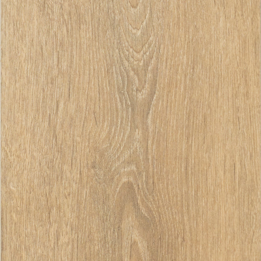 Blonde Oak | 8575