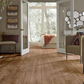 Tawny Chestnut | 5537