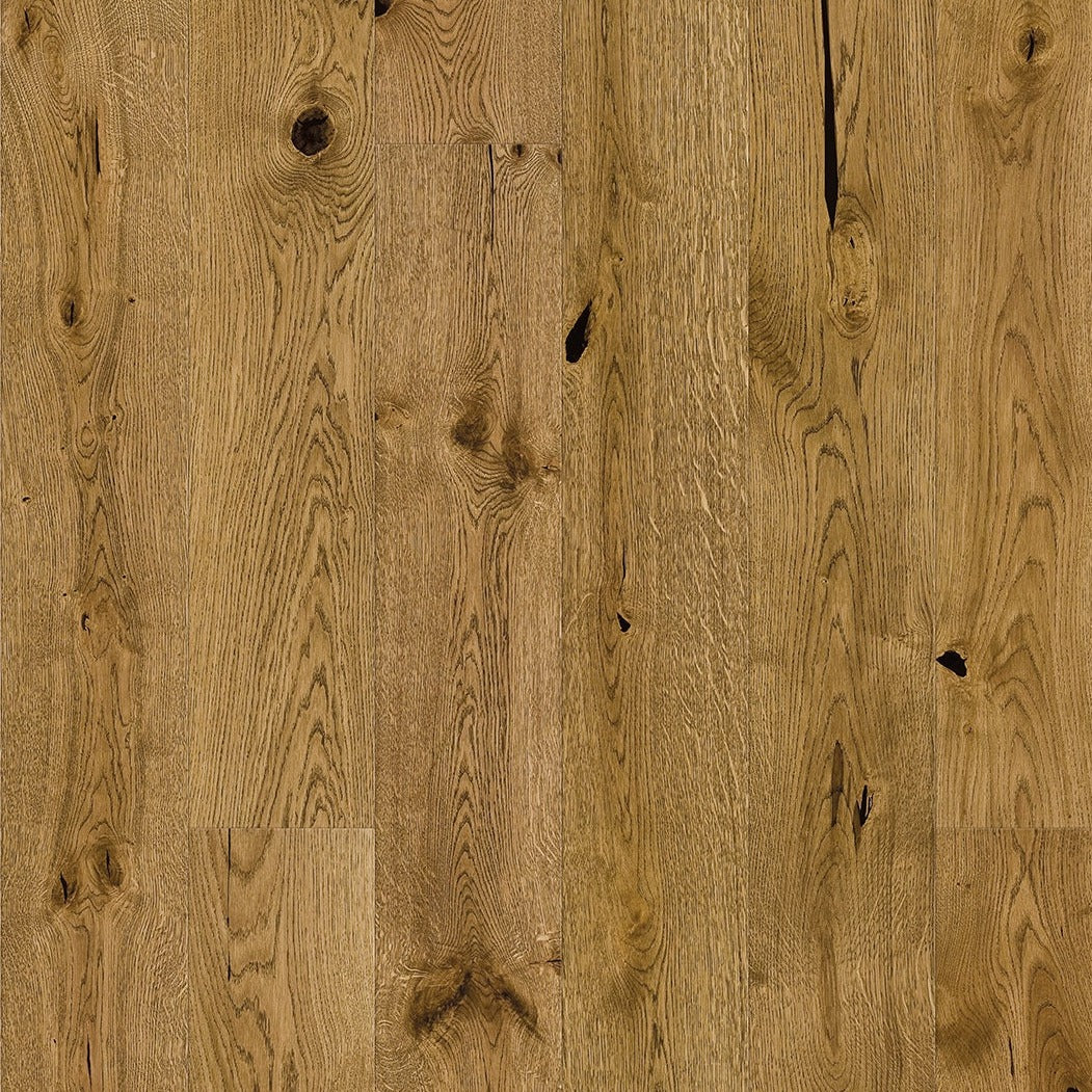 Biscotti Oak Grande | OBOG