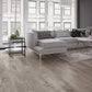 Colorado Oak | 5543