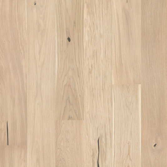 Cheesecake Oak Grande | OCGC