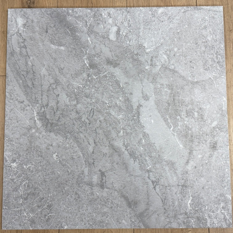 600 x 600 Tile NPT Grey Matt P4