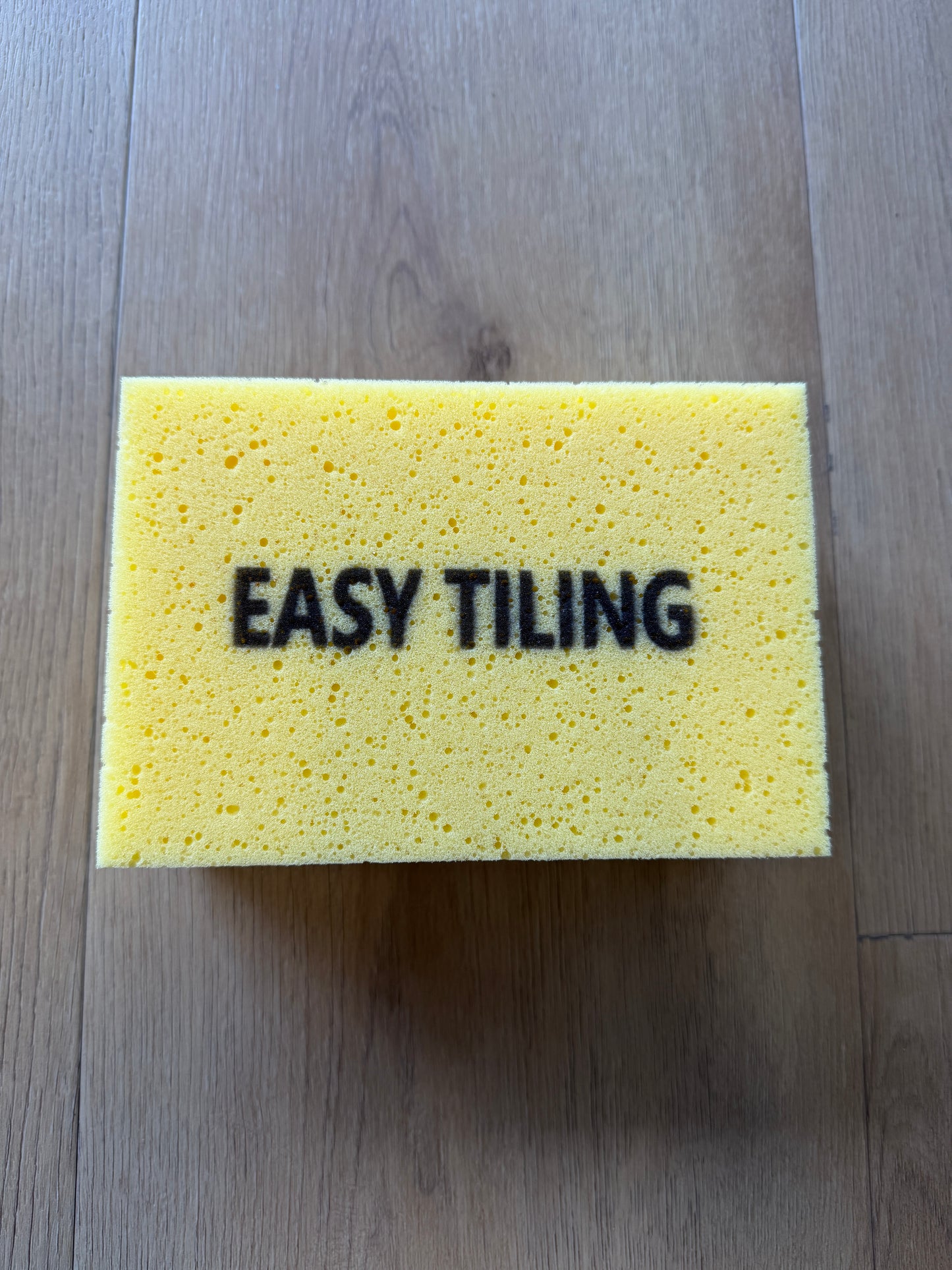 Easy Pro Sponge