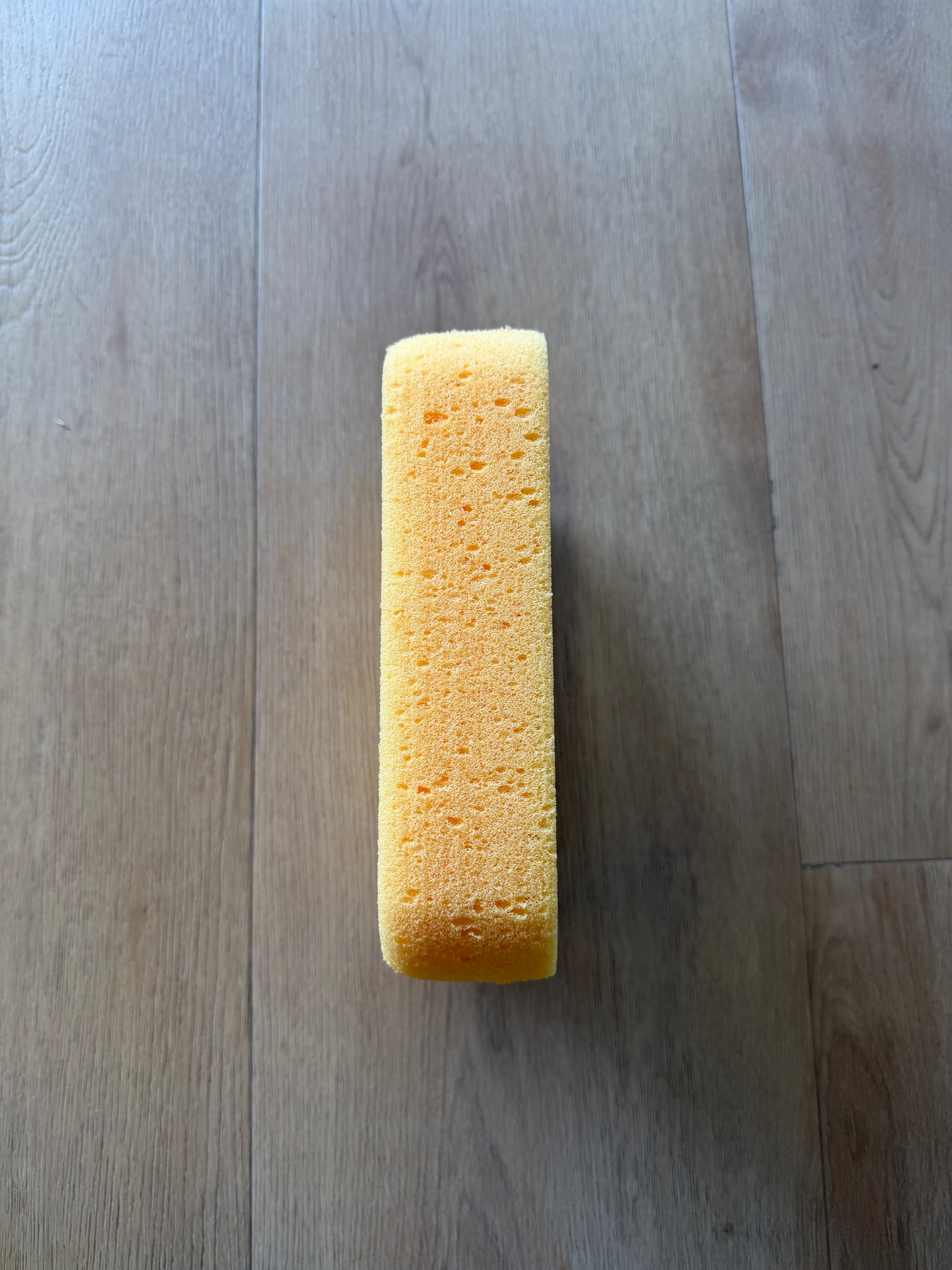 Easy Sponge