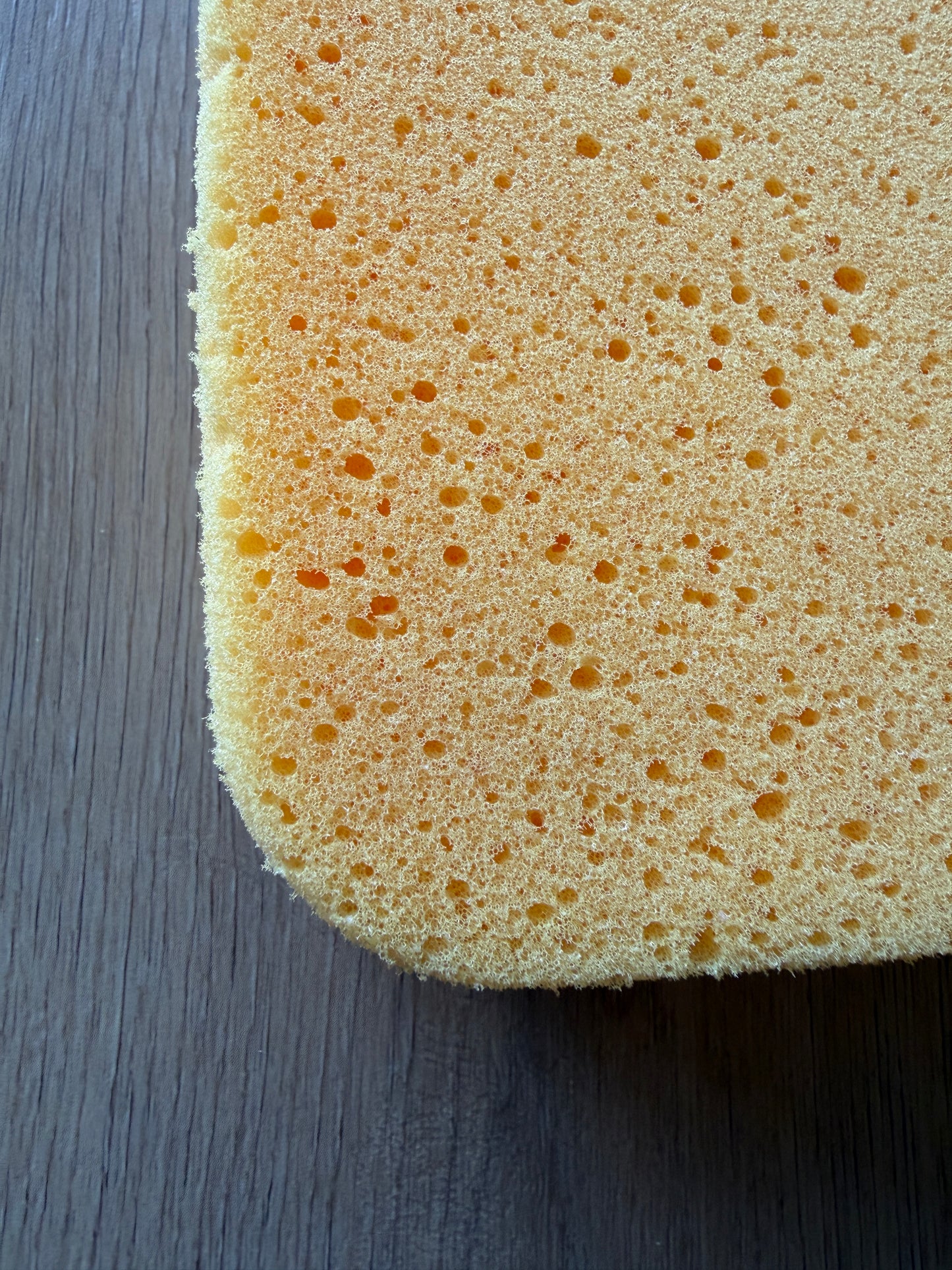 Easy Sponge