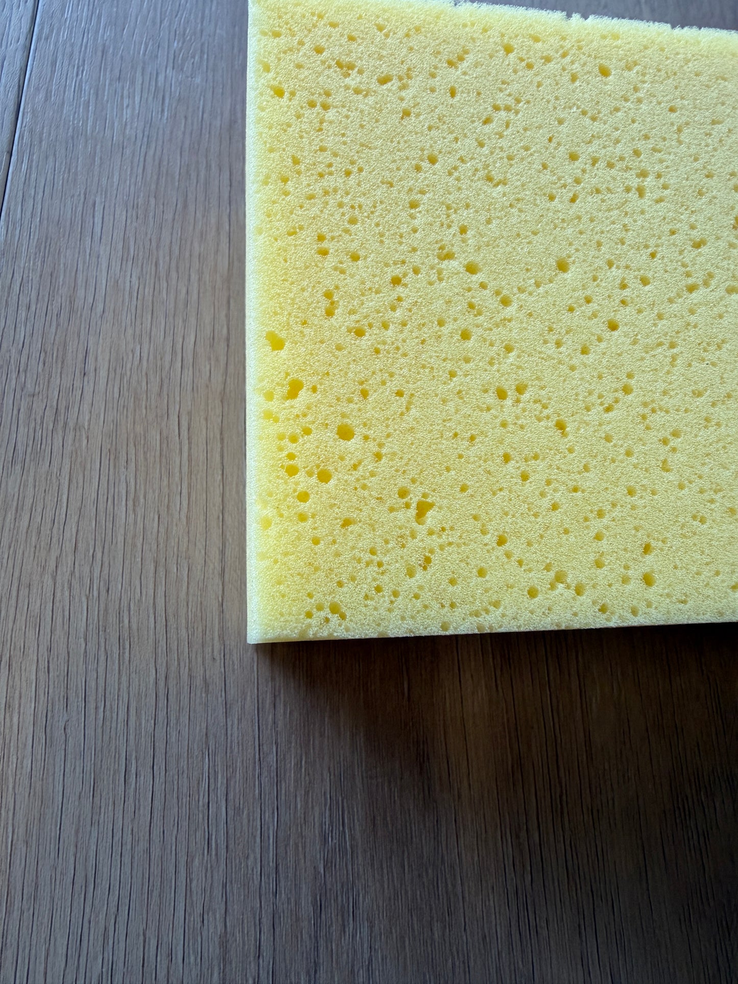 Easy Pro Sponge