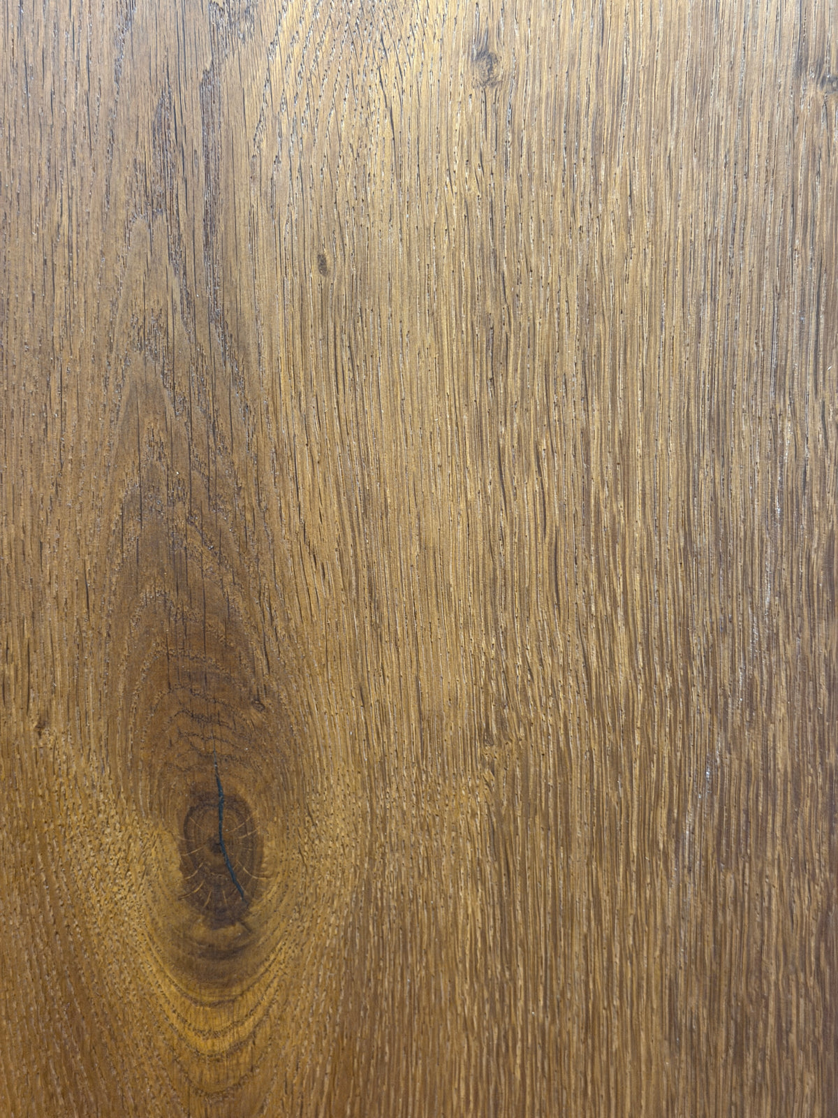 DUKE240 - 5008 | Coastal Oak