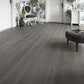 Toulouse Black Oak | FP07