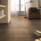Harlech Oak | 8573